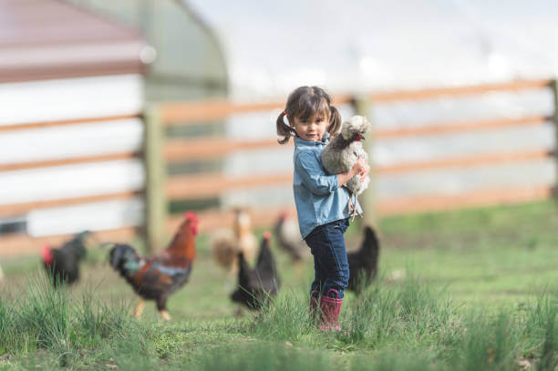 Homesteading: A Pathway to a Meaningful Life Filled with Family and Self-Sufficiency