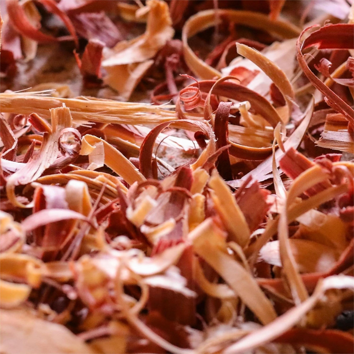 pin shavings as chicken coop bedding and nesting box option