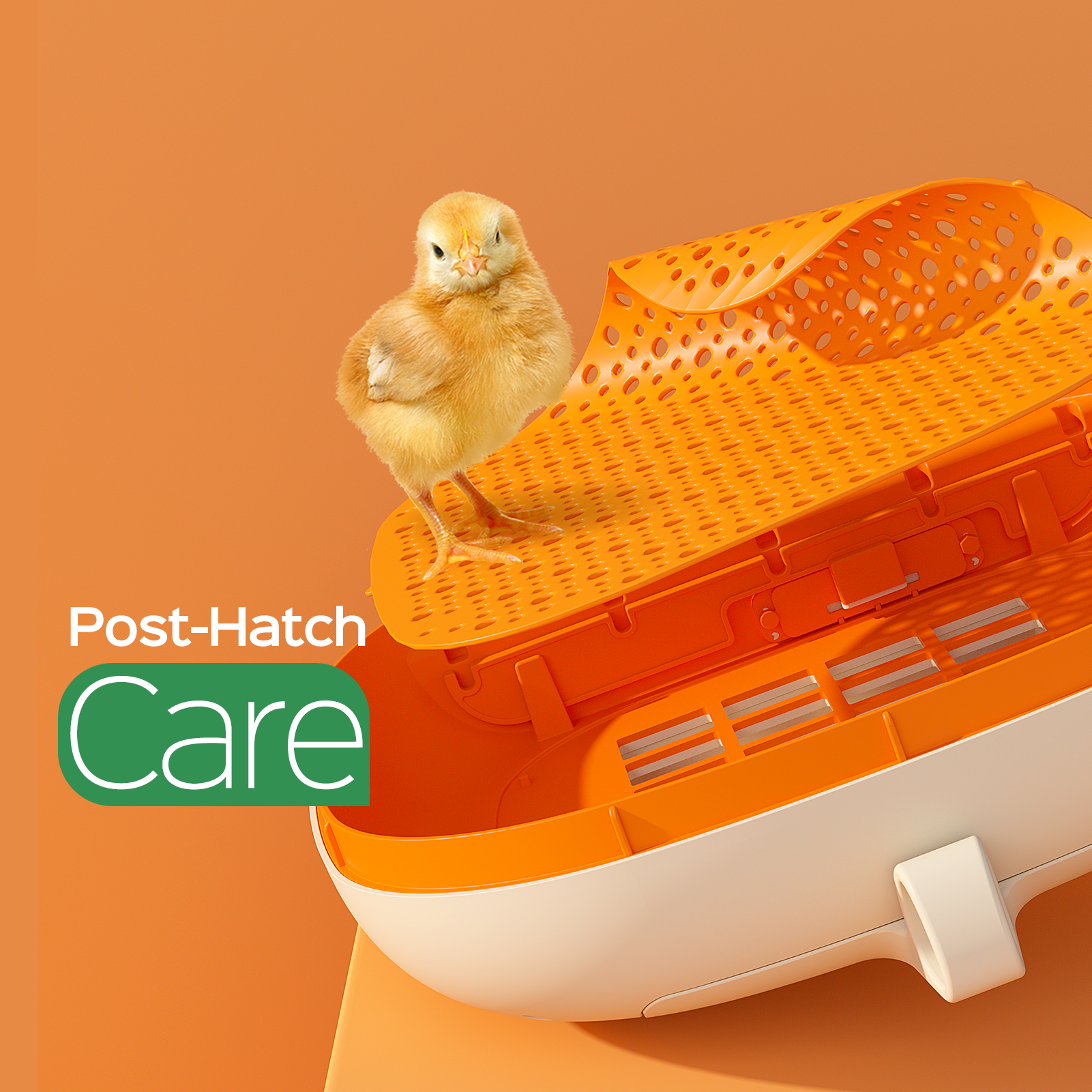 Egg Incubator -25 Egg Capacity