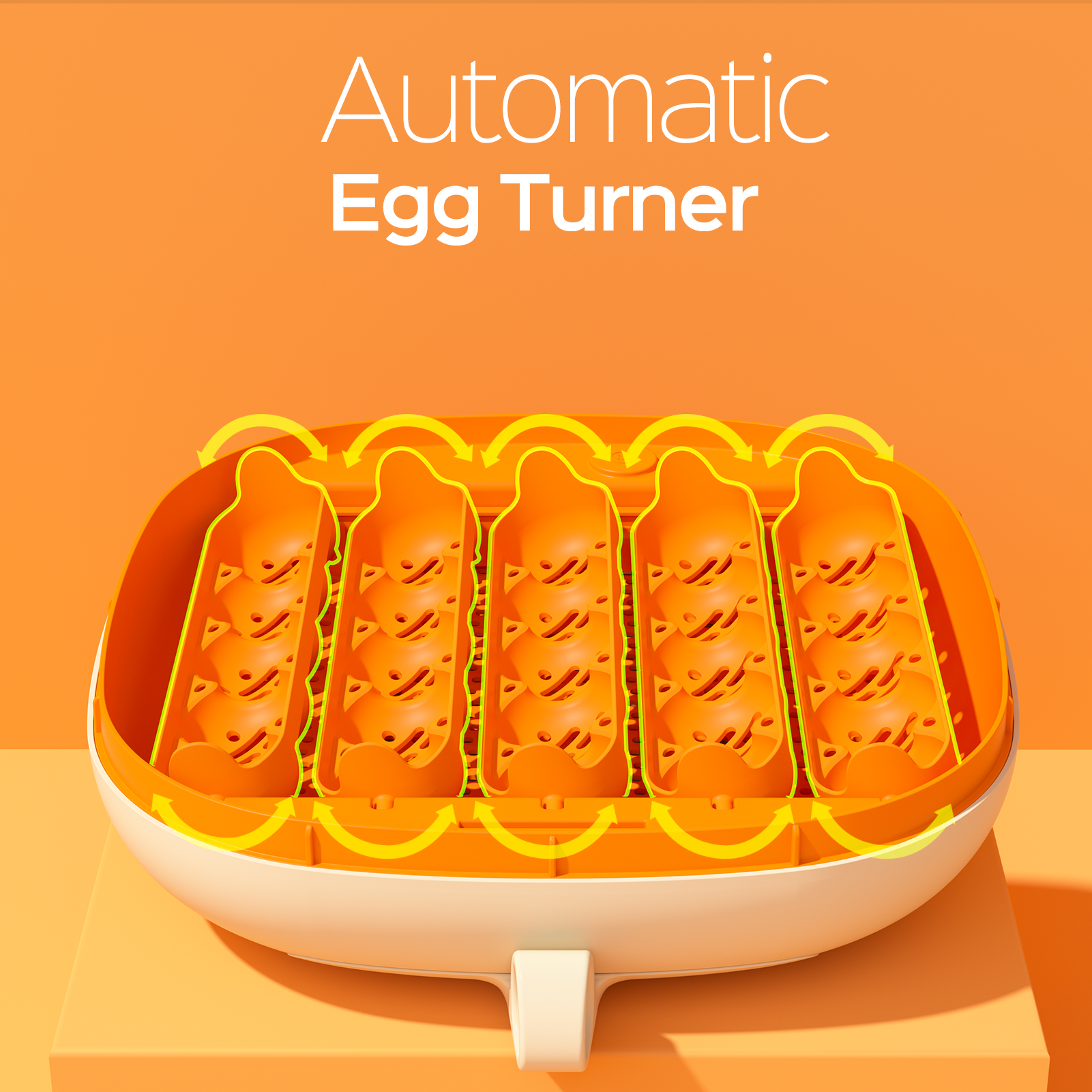 Egg Incubator -25 Egg Capacity