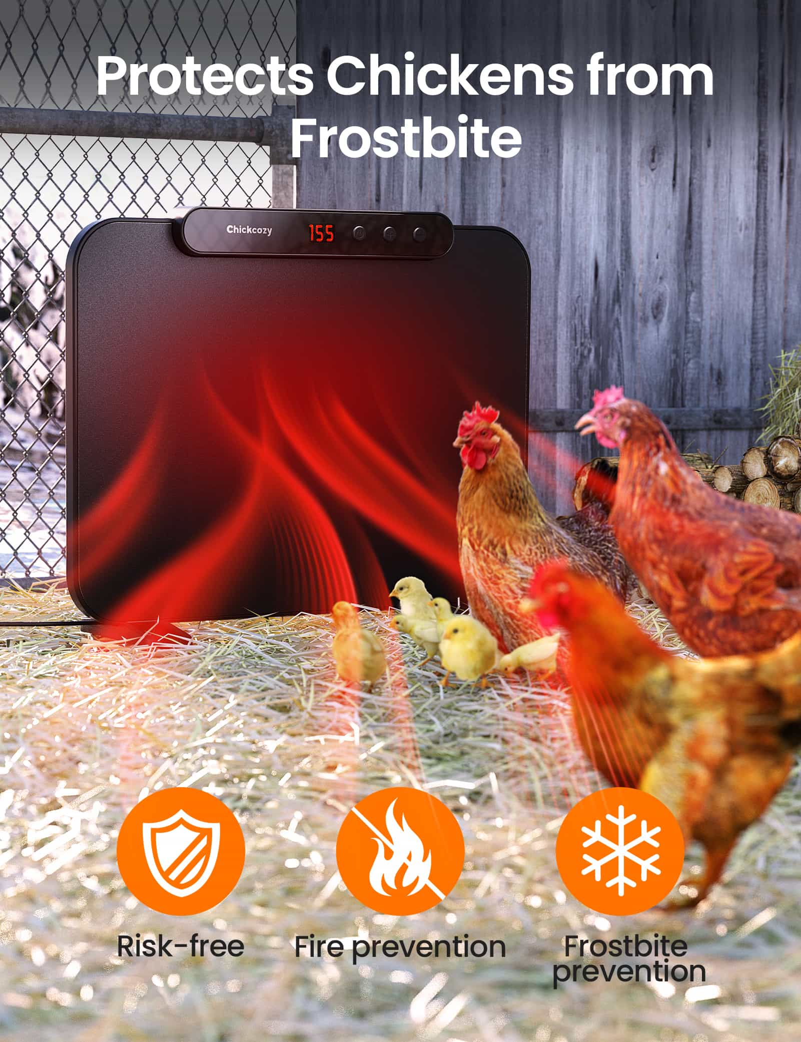 Using the chicken coop heater to prevent from forstbite