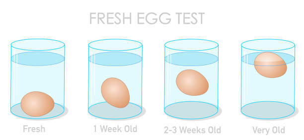 egg freshness float test