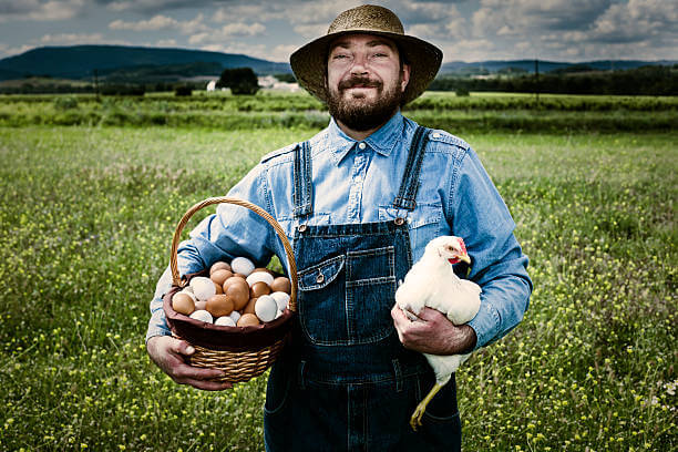 a farmer holding a chicken and a lot of eggs