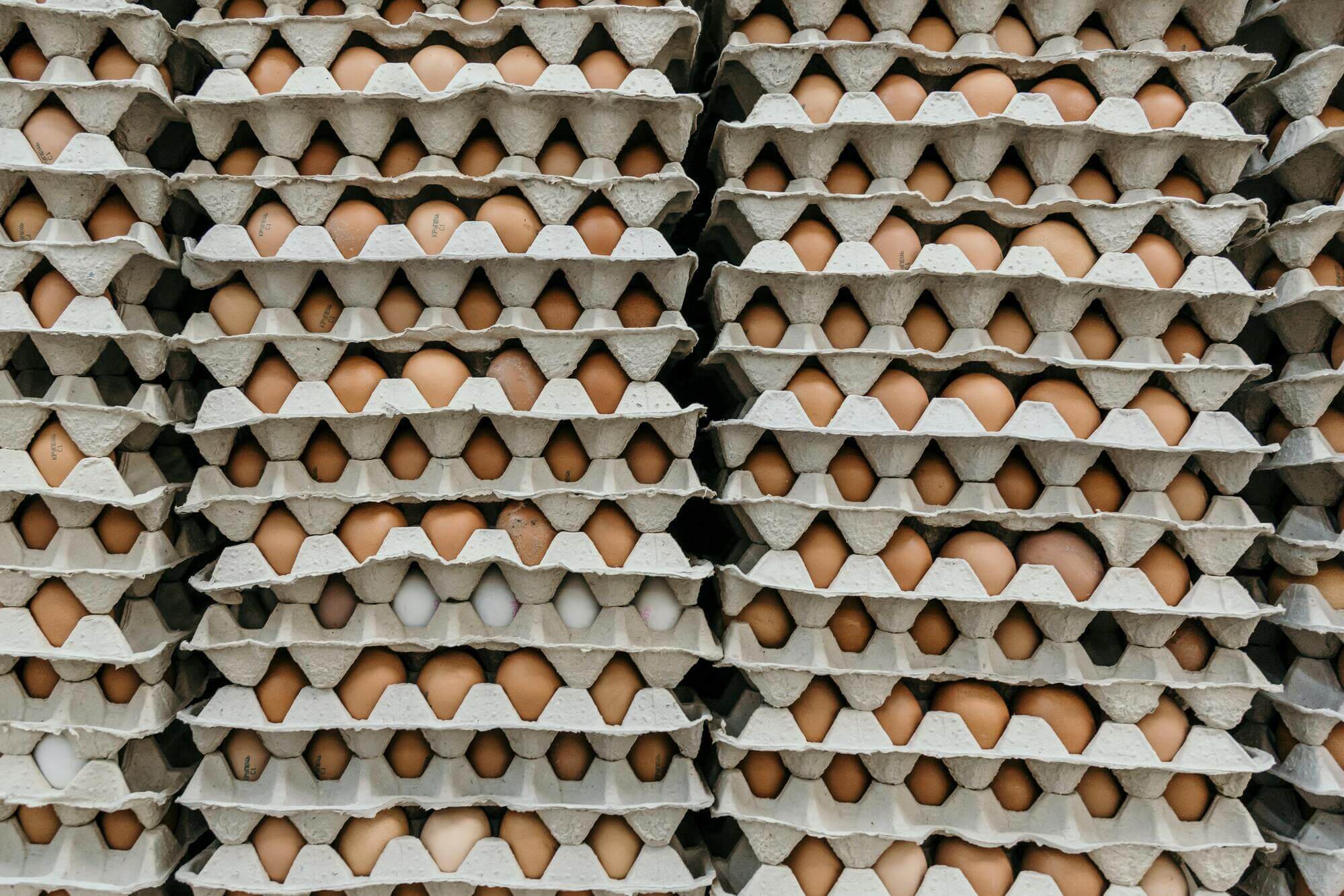 Why are egg prices so high right now?