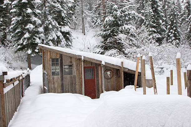 Preparing Your Chicken Coop for Winter: Essential Tips for a Cozy and Healthy Flock
