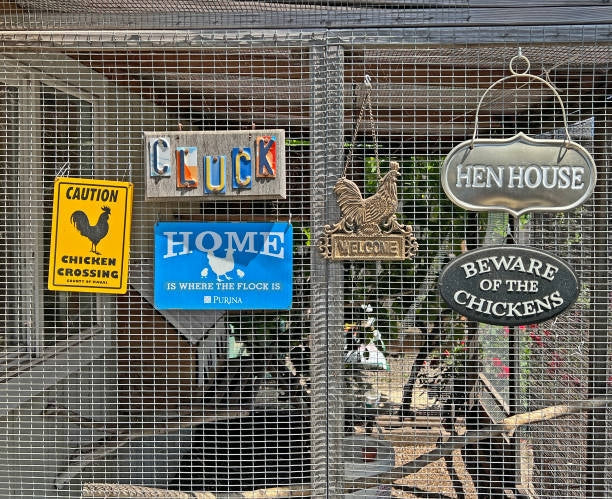 many chicken coop signs are hang on the chicken run wire