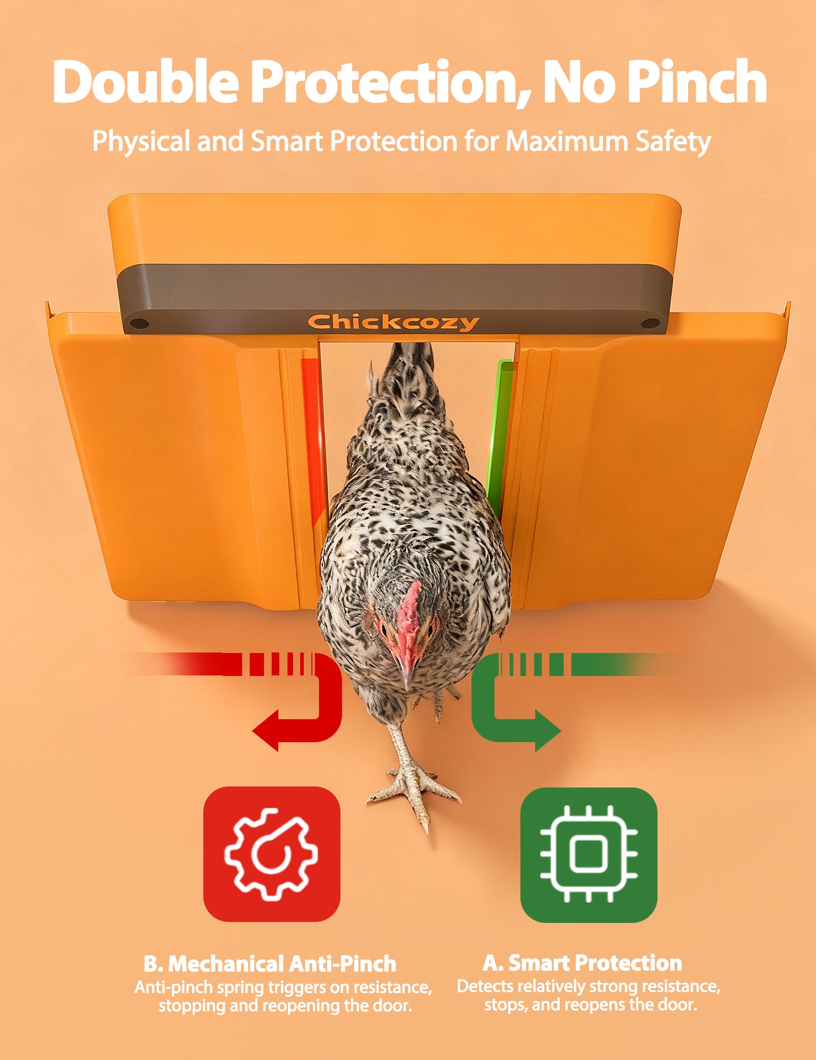 Chickcozy Solar-Powered Automatic Chicken Coop Door  X004YZ1HSZ