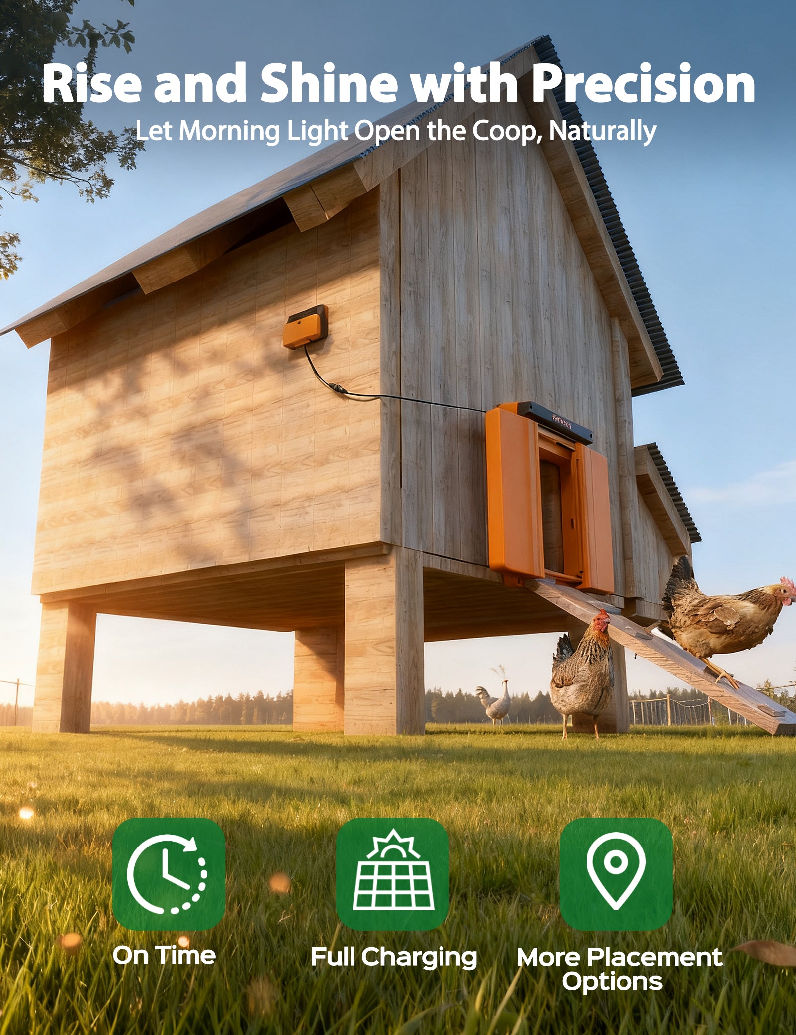Chickcozy Solar-Powered Automatic Chicken Coop Door  X004YZ1HSZ