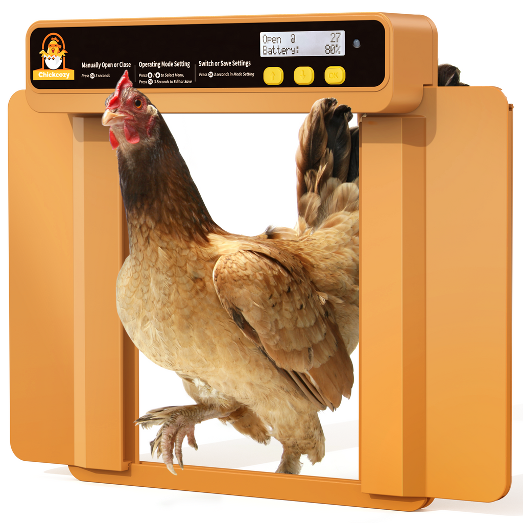 Automatic Chicken Coop Door, The safest auto chicken door - Chickcozy